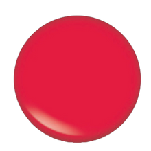 Load image into Gallery viewer, CEO